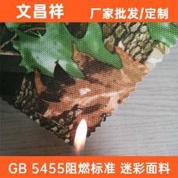 GB 5455阻燃標準
